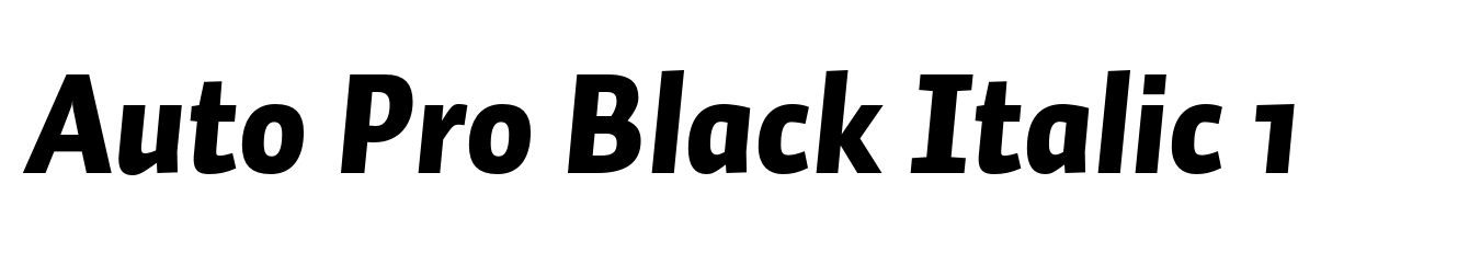Auto Pro Black Italic 1